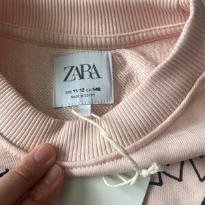 Zara Blush Pink Crewneck